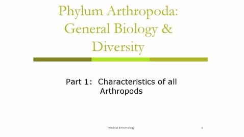 Thumbnail for General Biology and Diversity of Arthropods part 1 Characteristics of all Arthropods