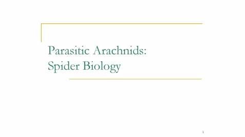 Thumbnail for Spider Biology
