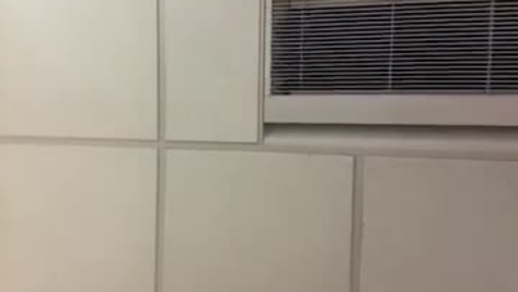 Thumbnail for 79631752215__D0E9FCA5-188B-406E-A189-38A7ED51EC2C