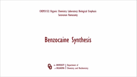 Thumbnail for entry Benzocaine Synthesis