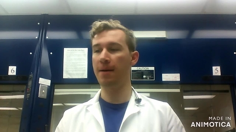 Thumbnail for Borohydride Reduction Lab