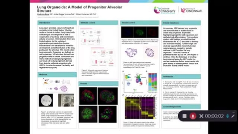 Thumbnail for Rose, K, Lung Organoids: A model of progenitor alveolar structure