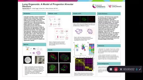 Thumbnail for entry Rose, K, Lung Organoids: A model of progenitor alveolar structure