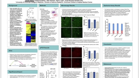 Thumbnail for Alvey, L, The Metabolic Role of CARD14 in Epithelial Barrier Dysfunction