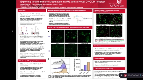 Thumbnail for Stearns, B., Exploring Innate Immune Modulation in AML with a Novel DHODH Inhibitor