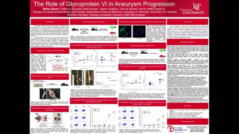 Thumbnail for Stone, B, The Role of Glycoprotein VI in Aneurysm Progression
