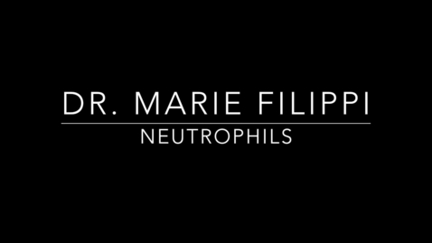 Thumbnail for entry Dr. Marie Filippi Neutrophils 1