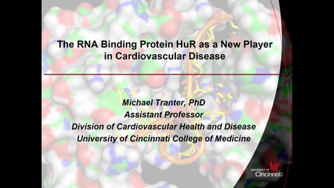 Thumbnail for 2018-01-08 12.00 UC Heart, Lung and Vascular Institute_ Seminar Series 2017-18