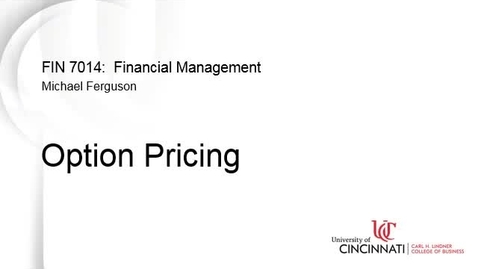 Thumbnail for entry Option Pricing