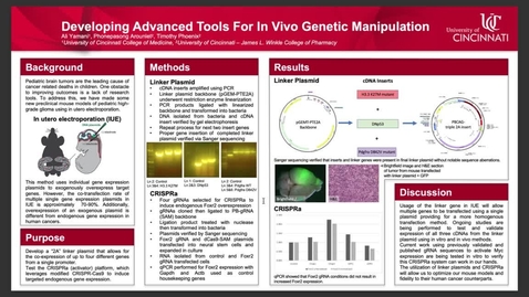 Thumbnail for entry Yamani, A, Developing Advanced Tools For In Vivo Genetic Manipulation