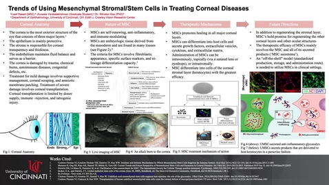 Thumbnail for entry Saeed, Y, Trends of Using Mesenchymal Stromal/Stem Cells in Treating Corneal Diseases
