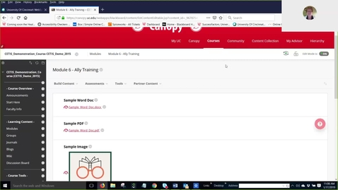 Thumbnail for WebEx Recording of Ally Training for CHIS 1-17-19
