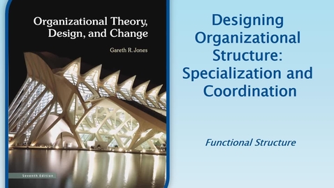 Thumbnail for MGMT7000 CH6-1 Functional Structure