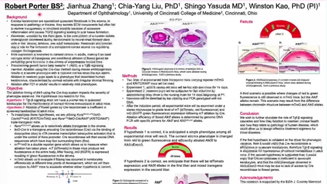 Thumbnail for Porter, R, Efficacy of Floxed Gene Ablation During Mouse Corneal Development