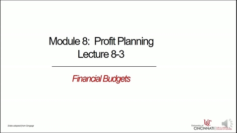 Thumbnail for entry Financial Budgets