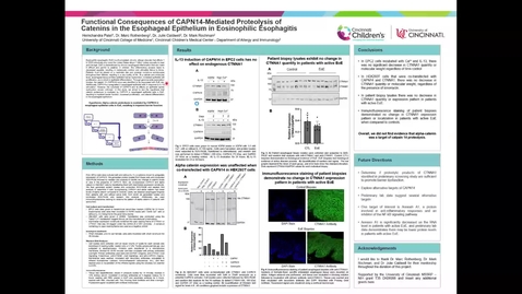 Thumbnail for Patel, H, Functional Consequences of CAPN14 Mediated Proteolysis of Catenins in the Esophageal Epithelium in Eosinophilic Esophagitis
