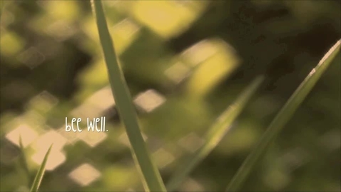 Thumbnail for Second Semester Experiential Project