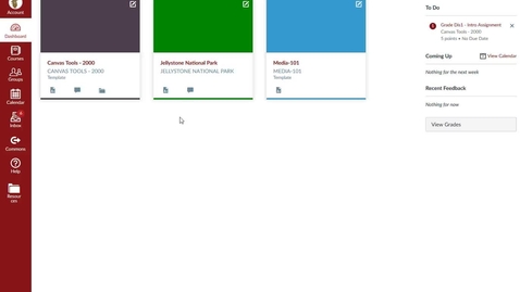 how long does turnitin take to process