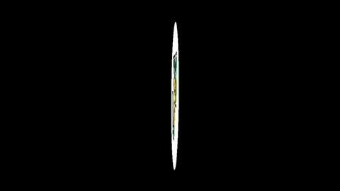 Thumbnail for YIS SPRING 2019 #8 HORIZON PHARMA TAYLOR TURCHI