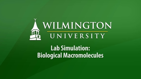 Thumbnail for entry Sci 251 - Lab Simulation - Biological Macromolecules
