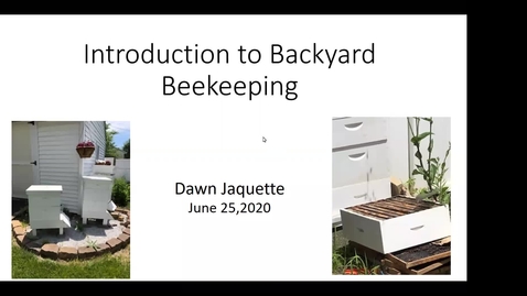 Thumbnail for entry Beekeeping Basics - Dawn Jaquette