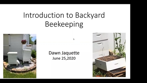 Thumbnail for Beekeeping Basics - Dawn Jaquette