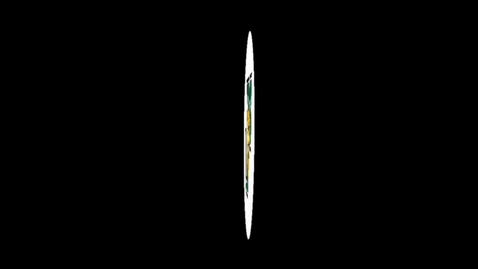 Thumbnail for yis fall 2017 # 10 dr axe award