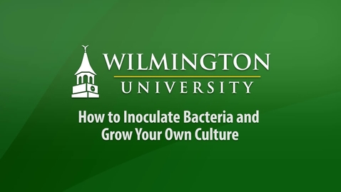 Thumbnail for Sci 251 - Inoculating Bacteria