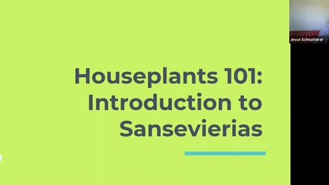 Thumbnail for entry Take 15-Houseplants 101: Introduction to Sansevierias