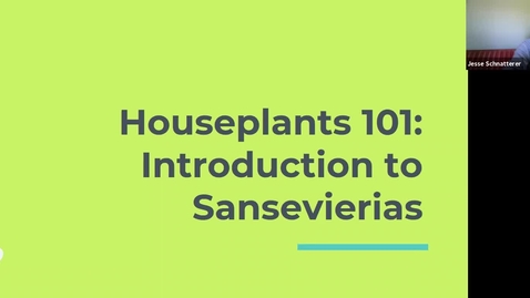 Thumbnail for Take 15-Houseplants 101: Introduction to Sansevierias