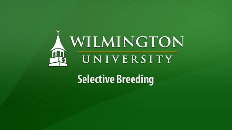 Thumbnail for Sci 251 - Selective Breeding