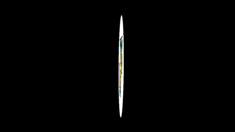 Thumbnail for YIS FALL 2019 #6 GREEN AND WHITE BALL