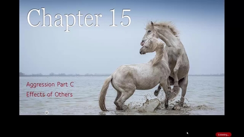Thumbnail for Chapter 15c Aggression