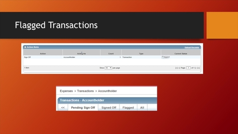 Thumbnail for entry 05 - P Card - Flagged Transactions