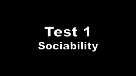Thumbnail for entry Rocco Personality Test