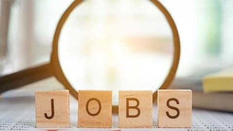 Thumbnail for Adapting Job Search Strategies Amid the COVID 19 Pandemic