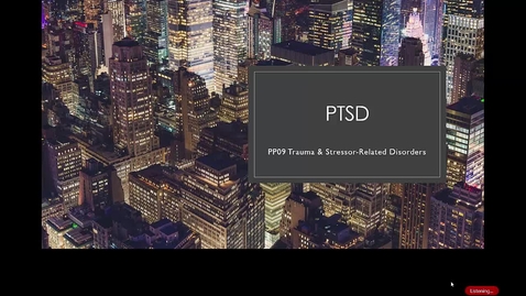 Thumbnail for PP 09 PTSD