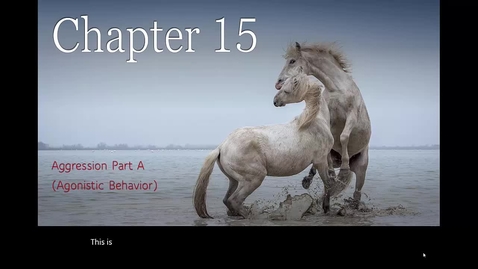 Thumbnail for Chapter 15a Aggression
