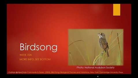 Thumbnail for entry Module 07A Birdsong A