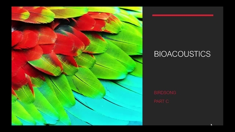 Thumbnail for Module 07C Birdsong C