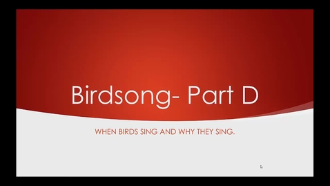 Thumbnail for Module 07D Birdsong D