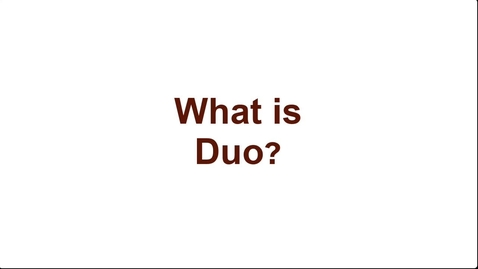 Thumbnail for Duo Overview-Animated