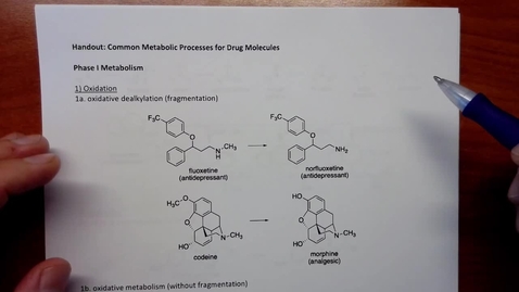 Thumbnail for Drug Metabolism