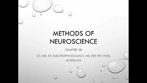 Thumbnail for Chapter 03b Brain Scans