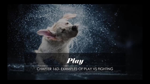 Thumbnail for Chapter 16 Play D