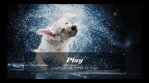 Thumbnail for Chapter 16 Play B