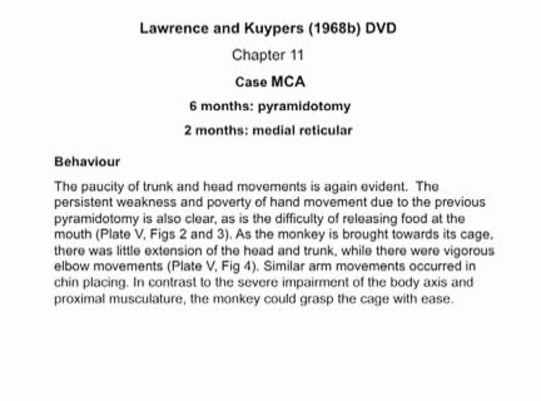 Thumbnail for the embedded element "6 months: pyramidotomy; 2 months: medial reticular | K11_Chapter_11"