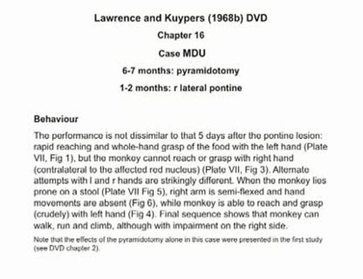 Thumbnail for the embedded element "6-7 months: pyramidotomy; 1-2 months: r lateral pontine | K16_Chapter_16"