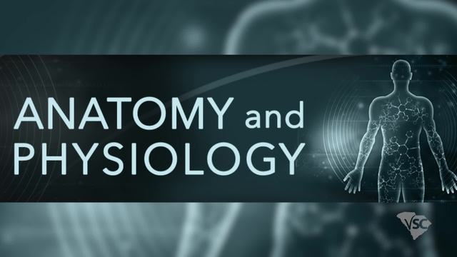 Anatomy and Physiology CP Course Tour