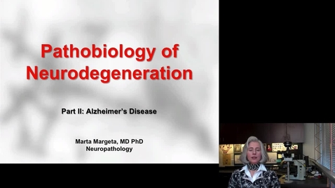 Thumbnail for 20140509_Path_Neurodegen_Margeta_2 (Source)